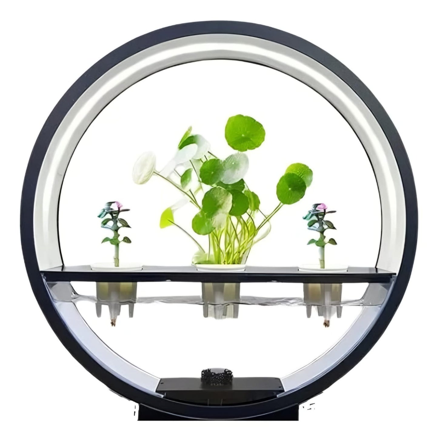 Luminária de Mesa com Suporte para Plantas LED Tomate MDL-004