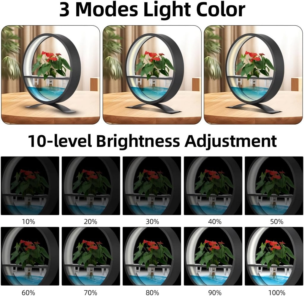 Luminária de Mesa com Suporte para Plantas LED Tomate MDL-004